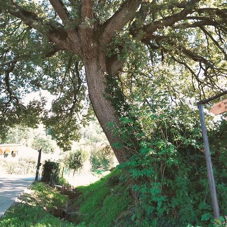 Apartament La Casa Dei Nonni Montepulciano Zewnętrze zdjęcie
