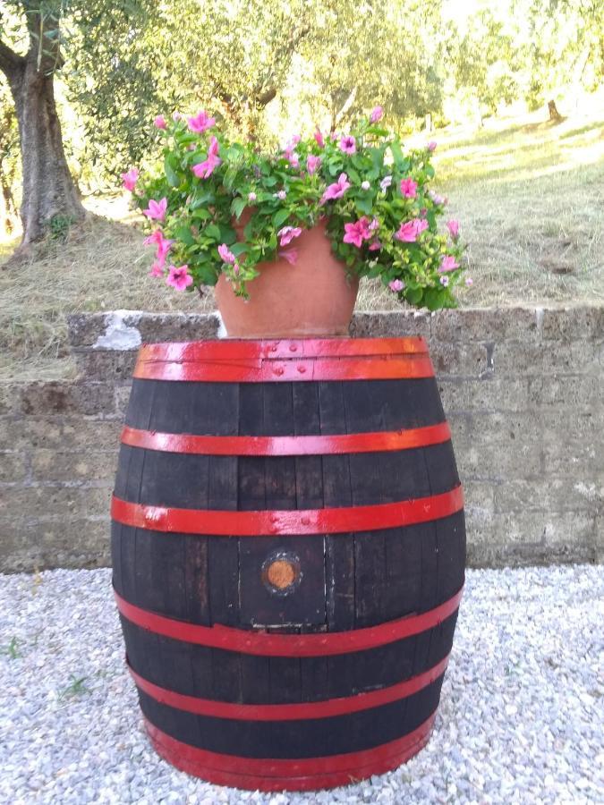 Apartament La Casa Dei Nonni Montepulciano Zewnętrze zdjęcie