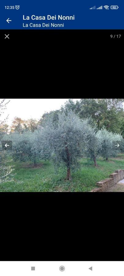 Apartament La Casa Dei Nonni Montepulciano Zewnętrze zdjęcie