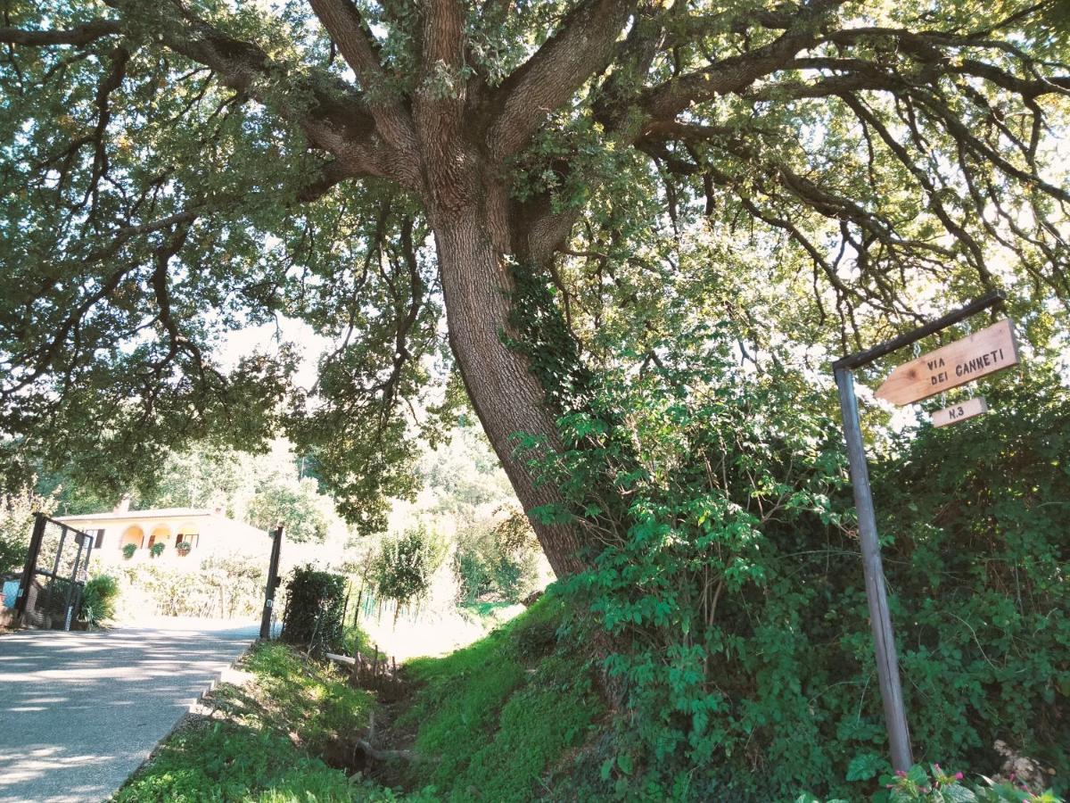 Apartament La Casa Dei Nonni Montepulciano Zewnętrze zdjęcie
